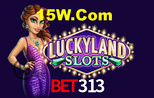 Bet313
